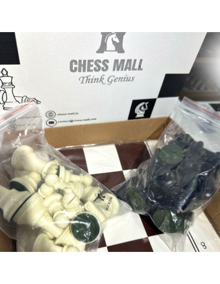 Packs Chess Mall in bag + DGT 1500 Blue