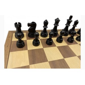 Pack DGT chess master 2