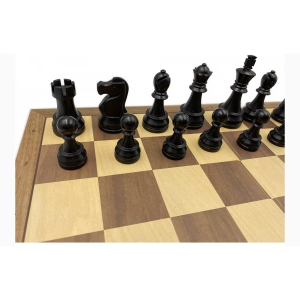 Pack DGT chess master