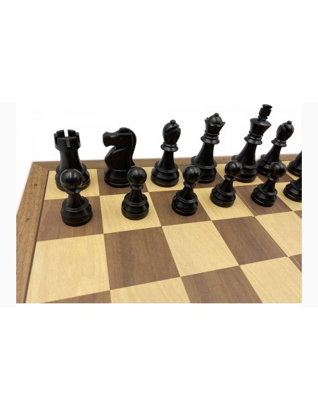 Pack DGT chess master