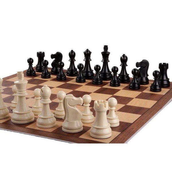 Pack DGT chess master