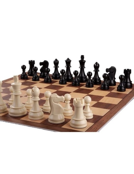 Pack DGT chess master