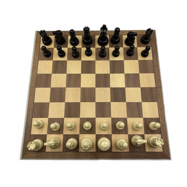 Pack DGT chess master