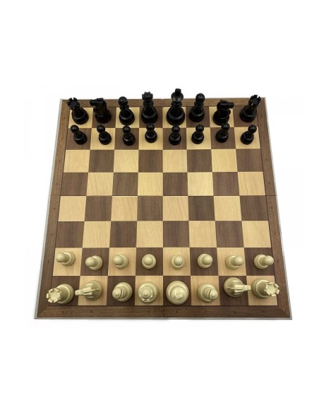 Pack DGT chess master