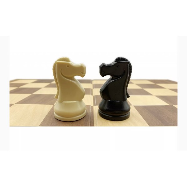 Pack DGT chess master