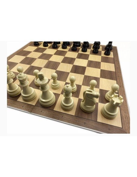 Pack DGT chess master