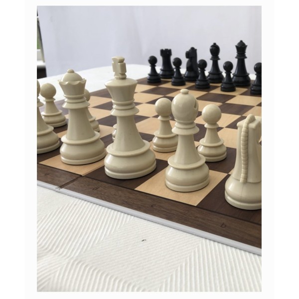 Pack DGT chess master