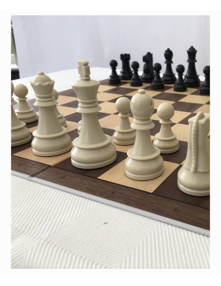 Pack DGT chess master