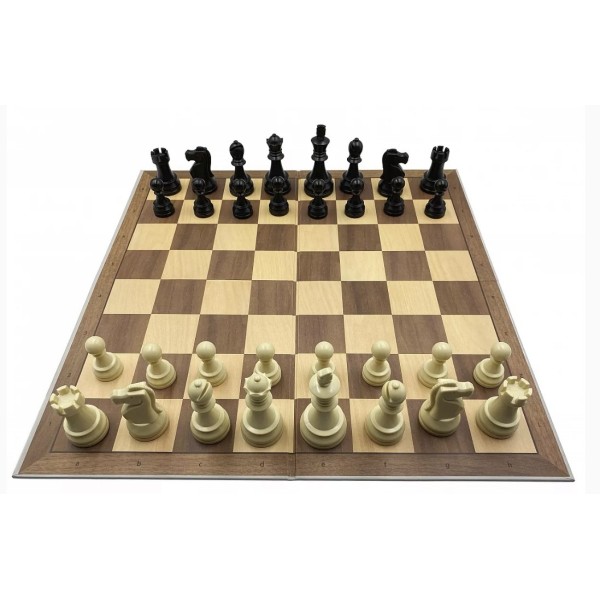 Pack DGT chess master