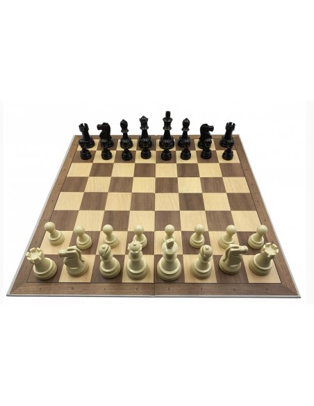 Pack DGT chess master