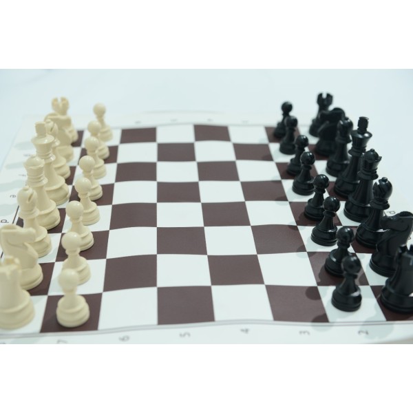 pack gold, échiquier vinyle couleur bleu ou vert ou marron taille 5.5 + pièces en plastique DGT 95mm