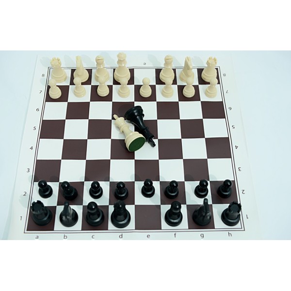 Échiquier vinyle marron  taille 5 + pièces en plastique taille 5