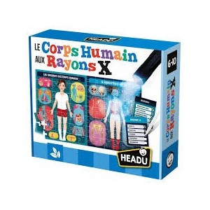 Le Corps Humain aux Rayons X