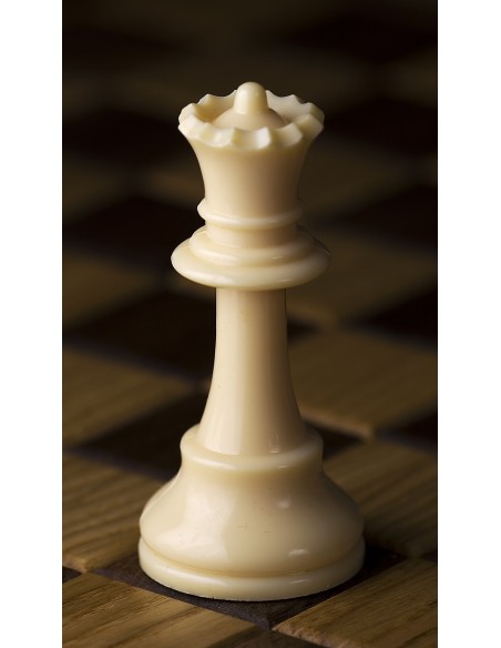 Pack de 20 reines DGT en plastique 95 mm