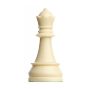 Pack de 2  reines DGT en plastique 95 mm