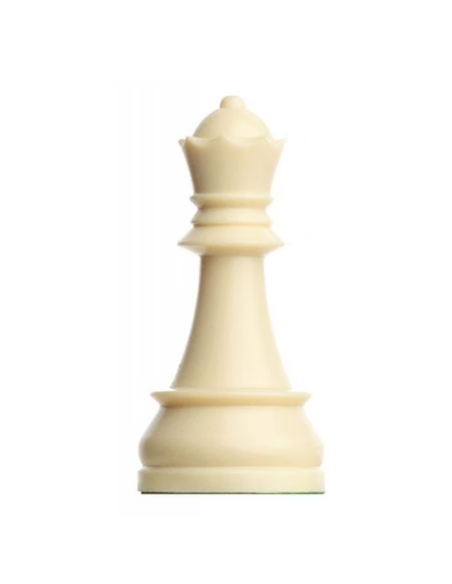 Pack de 2  reines DGT en plastique 95 mm