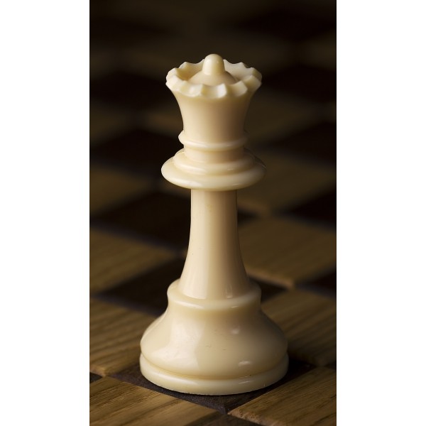 Pack de 2  reines DGT en plastique 95 mm