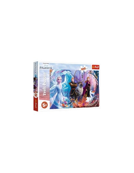 Puzzles 100 Magic Frozen