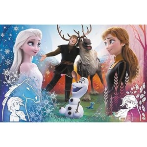 PUZZLES  300  MAGIC  FROZEN 2 2