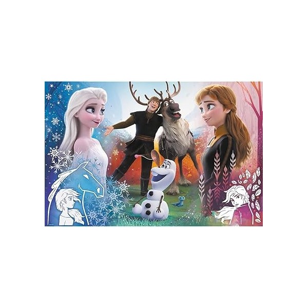 PUZZLES  300  MAGIC  FROZEN 2