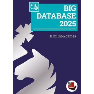 Big Database 2025