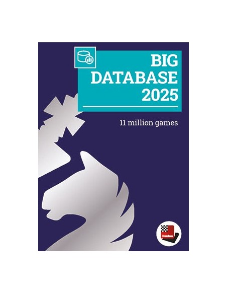 Big Database 2025