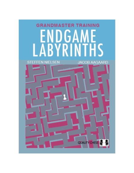 Endgame Labyrinths (Hardcover) Endgame Labyrinths (Hardcover)