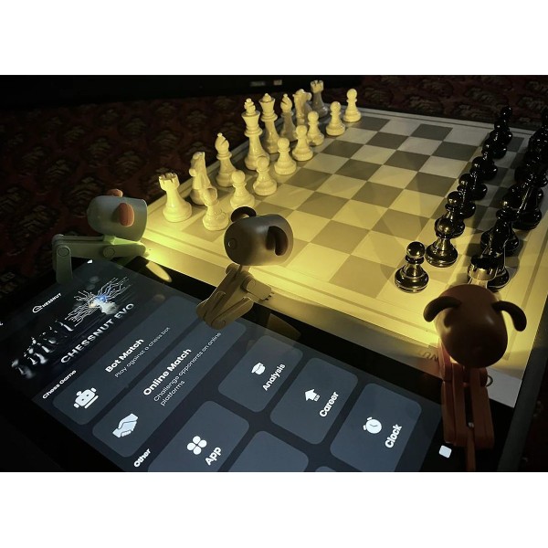 CHESSNUT EVO